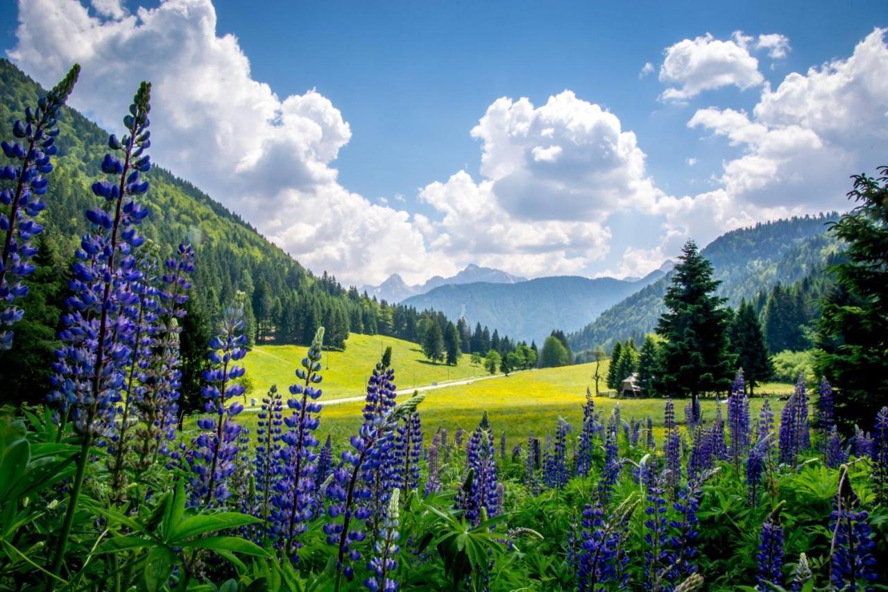 Apartament Hisa Grilc Kranjska Gora Zewnętrze zdjęcie